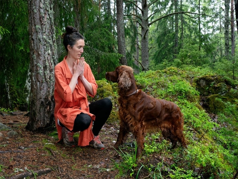 Online kursus: Mere ro i hverdagen med hund